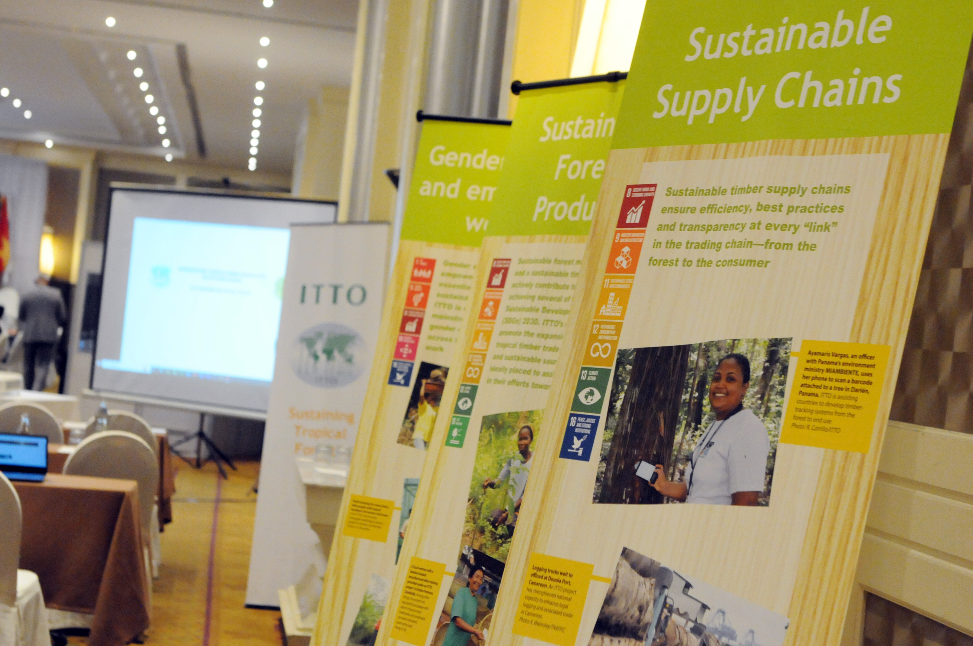 Sustainable Supply Chains ITTC 59 16Nov2023 Photo IISD Earth